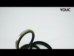 سیاه DKBI DKB مهر روغن گرد و غبار مهر گرد و غبار سیلندر هیدرولیک NBR مهر پاک کننده PU