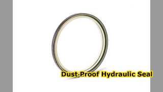 DKBI Hydraulic Seal Dist Protection 95x109x8 11mm